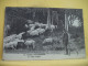 Delcampe - 40 4492 LOT N° 4  DE 15 CPA DIFFERENTES SUR  LES BERGERS ET MOUTONS DANS LES LANDES - Viehzucht