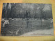 Delcampe - 40 4492 LOT N° 4  DE 15 CPA DIFFERENTES SUR  LES BERGERS ET MOUTONS DANS LES LANDES - Elevage