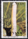 Timbre-poste Dentelé Oblitéré - Champignons Anellaria Semiovaja - N° 2357 (Yvert Et Tellier) - Guyana 1990 - Guyane (1966-...)