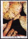 T.-P. Dentelé Oblitéré - Champignons Pholiote écailleuse Pholiota Squarosa - N° 2358 (Yvert Et Tellier) - Guyana 1990 - Guiana (1966-...)