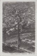 France - Paris - Tour Eiffel - Tower - Arc De Triumpf - Aerial View - Nice Stamp 1928 - Eiffeltoren