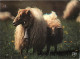Animaux - Moutons - Moutons Dans Nos Montagnes - Vieille Cloche - CPM - Voir Scans Recto-Verso - Other & Unclassified