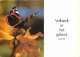 Animaux - Papillons - Fleurs - CPM - Voir Scans Recto-Verso - Farfalle