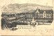 Bad Dürkheim - Park-Hotel - Litho - Bad Dürkheim