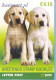 Ireland 2003 Mi Mh 1483-1487 MNH  (ZE3 IRLmh1483-1487) - Dogs