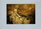 Histoire - Grotte De Lascaux - Bison éventré - Histoire