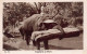 India - Elephants At Work - Publ. Unknown - India