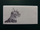 Enveloppe Illustrée à La Main. Mail Art. Originale Et Unique, Signée Au Dos. Chat Katze Cat Kot Gato Gatto Macska Pisică - Other & Unclassified