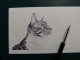 Enveloppe Illustrée à La Main. Mail Art. Originale Et Unique, Signée Au Dos. Chat Katze Cat Kot Gato Gatto Macska Pisică - Other & Unclassified