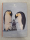 Penguin - Other & Unclassified