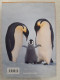 Penguin - Other & Unclassified