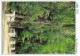 Delcampe - ARLES Lot De 103 Cartes De La Ville  Des Bouches-du-Rhone Cartes Vierges Non Circulés CPM (Scan R/V) N°   1   \MT9101 - Arles