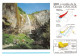 63  Coulée De La Grande Cascade Du MONT-DORE (Scan R/V) N°   50   \MT9114 - Le Mont Dore