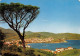 66 Banyuls-sur-Mer Plage Ville Et CAP DOUNE                (Scan R/V) N°   1   \MT9125 - Banyuls Sur Mer