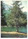 38   Livet-et-Gavet  Lac Du Poursollet  (Scan R/V) N°   54   \MT9153 - Bourg-d'Oisans