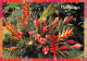 97 MARTINIQUE  Création Florale Des Tropiques Par Joél Et Yannick LAZENNEC Fort De France  (Scan R/V) N°  37   \PB1109 - Fort De France