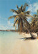 97  Guadeloupe Plage De La Caravelle  (Scan R/V) N°   8   \PB1112 - Pointe A Pitre