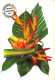 97 Guadeloupe  Fleurs Tropicales  (Scan R/V) N°   51   \PB1111 - Pointe A Pitre