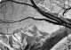 38 Les Deux Alpes  La Muzelle  (Scan R/V) N°   19   \PB1123 - Bourg-d'Oisans