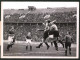 Fotografie Fussballspiel Dresdner SC : Tennis Borussia Im Berliner Olympia Stadion 1941  - Deportes