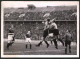 Fotografie Ansicht Berlin, Fussballspiel Dredner SC : Tennis Borussia Im Olympiastadion 1941  - Sports