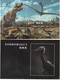 China 2017-11 Dinosaur Special Sheet 10v - Prehistorisch