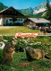 73143191 Ramsau Berchtesgaden Bachl Alm Brotzeit Der Murmeltiere Ramsau Berchtes - Berchtesgaden