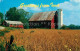 73061427 Iowa Soybean Field Late Summer In Iowa - Andere & Zonder Classificatie