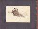 Delcampe - 05699 / ⭐ ♥️ Album 144 Photos 1930-80 Famille 38-BEAUREPAIRE à La COTE AZUR Inde Chine Egypte Afrique Moyen-Orient  - Alben & Sammlungen