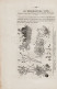 05723 / ⭐ ◉  Rare Tableau VIGNOBLE PHYLLOXERA Bulletin AGRICULTURE HORTICULTURE VAR 1883 Test Vignes Afrique Cochinchine - 1801-1900