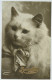 Delcampe - Lot 10 Cartes Fantaisie, Chat (lt9) - Cats