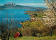 12719866 Weggis Vierwaldstaettersee Panorama Mit Blick Zum Pilatus Baumbluete We - Sonstige & Ohne Zuordnung