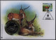 Numisbrief Botswana Roter Litschi Medaille 30 Jahre WWF Tiere - Altri & Non Classificati