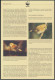 WWF Cook Island 1278-1281 Vögel Rarotonga-Fliegenschnäpper Kpl. Kapitel Besteh - Cookinseln