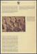Delcampe - WWF Bahamas 672-675 Tiere Vögel Pfeifgans Kpl. Kapitel Bestehend - Bahama's (1973-...)