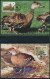 Delcampe - WWF Bahamas 672-675 Tiere Vögel Pfeifgans Kpl. Kapitel Bestehend - Bahamas (1973-...)