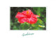 971-GUADELOUPE HIBISCUS ROSA SINENSIS-N°3794-A/0319 - Other & Unclassified