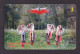 2002 Russia Bashinformsvyaz-Ufa,Ukrainian Dance "Gopak",120 Units Card,Col:RU-BIS-V-001 - Rusland