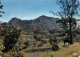 974-ILE DE LA REUNION MASSIF DU PITON-N°3804-A/0211 - Andere & Zonder Classificatie