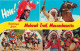 Indiens - Mohawk Trail - Massachussetts - Multivues - CPM Format CPA - Voir Scans Recto-Verso - Native Americans