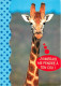 Animaux - Girafes - Carte Humoristique - CPM - Voir Scans Recto-Verso - Jirafas