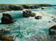 56 - Presqu'Ile De Quiberon - CPM - Voir Scans Recto-Verso - Quiberon