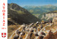 74-AVORIAZ-N°3804-D/0197 - Avoriaz