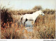 AJQP10-0992 - ANIMAUX - CRIN BLANC - CHEVAL CAMARGUAIS  - Horses