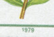 2435I Gartenbauausstellung 10 Pf: Unten Verkürzte 1 In 1979, Feld 30 ** - Plaatfouten En Curiosa