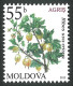 2013 829 Moldova Flora - Berries MNH - Moldawien (Moldau)