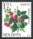 Delcampe - 2013 829 Moldova Flora - Berries MNH - Moldavia