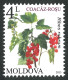 Delcampe - 2013 829 Moldova Flora - Berries MNH - Moldavie