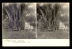 INDONESIE - VOYAGES AUX INDES - LE PARC DU GOUVERNEUR - CARTE STEREO - Indonesia