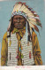 Delcampe - Lot Of 20 Postcards Of Indians. * - Indianer